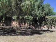 FRACC. CAMPESTRE LA HERRADURA LOTE BARDEADO EN VENTA