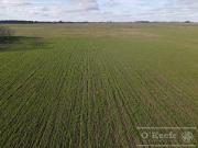 Fracción de Campo de 209 Has en Venta La Plata