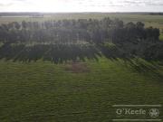 Fracción de Campo de 209 Has en Venta La Plata