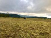 FRACCIÓN DE TERRENO EN SAÚCOS