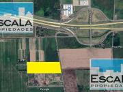 FRACCION TERRENO 31500M2 AUTOPISTA A CORDOBA Y...
