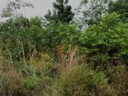 FRACCIONAMIENTO LA SELVA 225 TERRENO VENTA CANCUN...