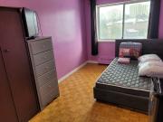 Frank Has an Apartment