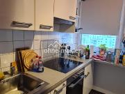 Frankfurt Sachsenhausen: Vermietete 1 Zimmer Wohnung mit...