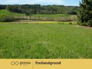 Freilandgrundstück in Rabnitz