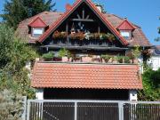 freistehendes 2 Familienhaus Architektenhaus ~300qm WF+NF