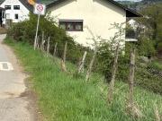 Freistehendes EFH in Trier Kernscheid mit unverbaubarem...