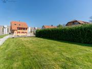 Freistehendes EFH mit Garten im steuergünstigen Däniken