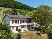Freistehendes Einfamilienhaus direkt unter dem Rebberg...