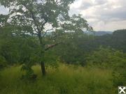 FREIZEITPARADIES FÜR HOBBYGÄRTNER IN EINZIGARTIGER...