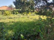 Fréjus Vente Terrain 83