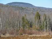 French Hill Rd Lot,albany Township, Plot For Sale