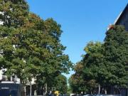 frequentierte Lauflage + vielfältig nutzbar Büro Praxis...