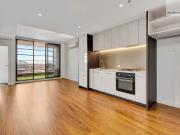 Freshly Painted & Brand New Flooring