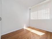 Freshly Renovated Sun Filled Ground Floor Apartment with...