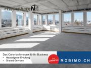 Friesenberg75 Arbeit. Erfolg. Zukunft