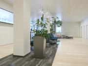 Friesenberg75 Raum für Fokus, Platz für Erfolge