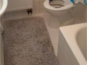 Frisch kernsanierte 2 Zimmer Wohnung mit Balkon in...