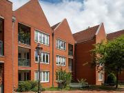Frisch renovierte 2 Zimmer Wohnung in Verden