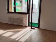 Frisch Renovierte 2 Zimmer Wohnung mit Loggia