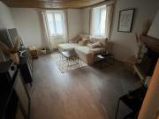 Frisch renovierte 3.5 Zimmer EG Wohnung mit Keller