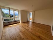 frisch sanierte, lichtdurchflutete Wohnung, Ruhelage...
