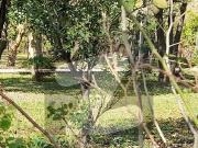 FRONT Open 14 Marla Near I 8markz DOUBLE Storey House...