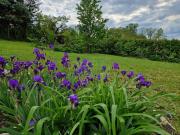 Frühling 2026 ! Großartige Liegenschaft in Chorherrn zu...