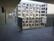 Summer in the city