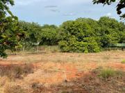 FS: Agricultural Lots in Brgy. Sapang, Pangasinan FS: Agricultural Lots in Brgy. Sapang, Pangasinan