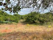 FS: Agricultural Lots in Brgy. Sapang, Pangasinan