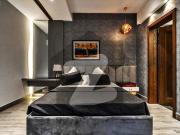 Full Basement With 15Kv Solar Installed Semi Furnished...