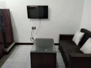Full Furnished 2 Bedroom apartment for rent in City...