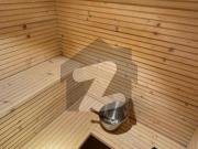 Full Furnished Luxury 7 Bedroom House F 7