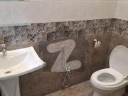 Full House Available For Rent D 12