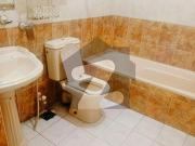 Full house for rent prime location g 11