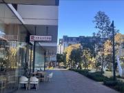 Fully Furnished 2 Bedroom 2 Bathroom Apartment for Rent