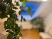 Fully Furnished 2 Bedroom Apartment in Berlin Mitte