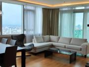 Fully furnished 3 Bedroom Unit for Sale in Park...