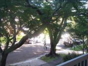 FULLY FURNISHED 400m to UQ