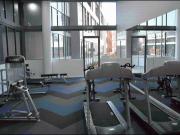 Fully Furnished and Spacious one bed plus study room in...