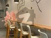Fully Furnished Apartment Available In Brand New...