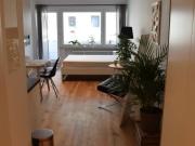 Fully furnished apartment Available may 1st