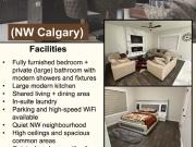 Fully Furnished Bedroom + Private Bathroom for Rent in...