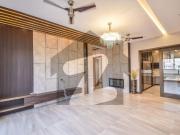 Fully Furnished Brand New 1 Kanal Heart Warming Home...