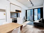 Fully furnished designer apartment