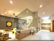 Fully Furnished Elegant House For Sale In Dha Phase 2...