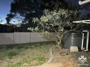 Fully Furnished Large Family House