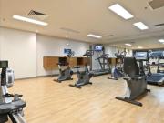 Fully Furnished Lease term can be negotiable with price