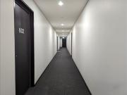 Fully Furnished Luxurious Apartment